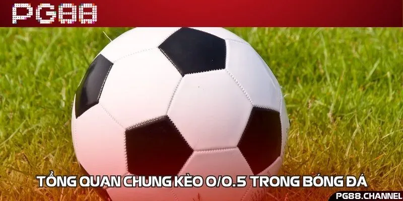 Định nghĩa, cách thức hoạt động và lợi ích kèo 0/0.5